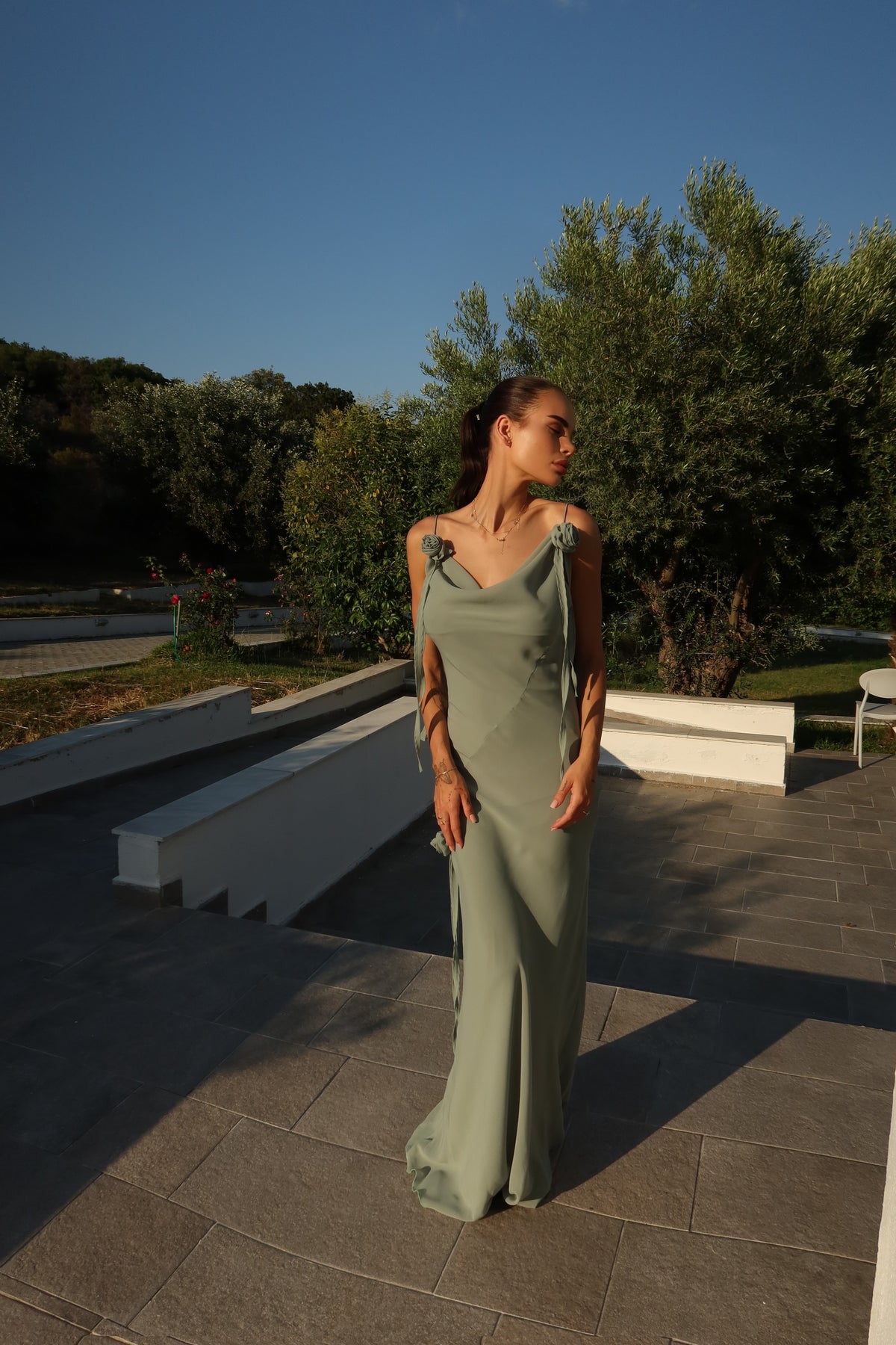 Rose Dress